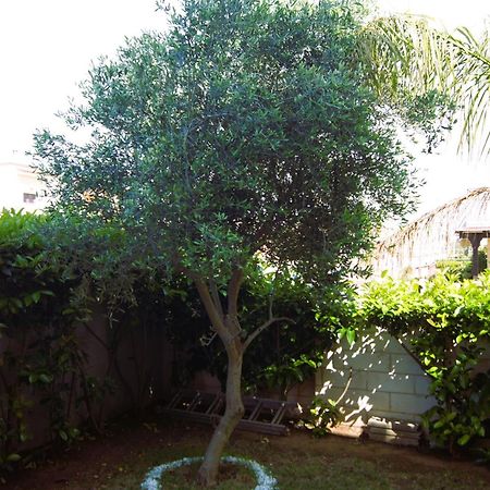 Casa Ulivo Villa Pulsano Exterior foto